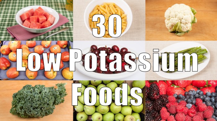 Low potassium soup recipes